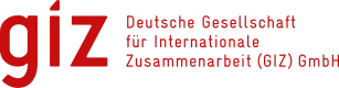 GIZ LOGO